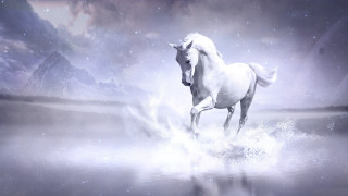 White horse water mountains starry - majestic free wallpaper