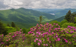Mountain lake pinkflowers cloudy sky - a cloudy sky free wallpaper for desktop