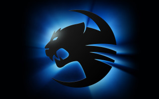 Black cat blue background blue - profile picture free wallpaper for desktop