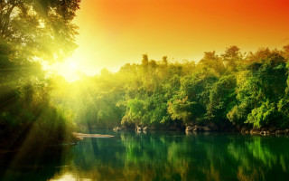 River boat trees sunlight nature - a bright sun free wallpaper