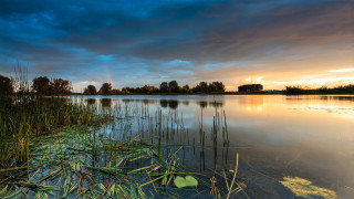 Lake grass clouds dusk mountains - a sky free wallpaper for desktop