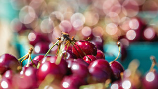 Cherry bowl water drops precisionism - cherry free wallpaper