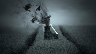 Woman dress field birds tree - bird free wallpaper for desktop