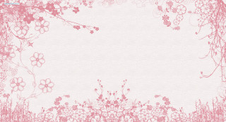 Pink white floral background border - a pink border free wallpaper