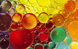 Water oil bubbles microscopic ecological - the surface of the water free wallpaper