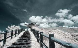 Wooden path building sky clouds - a wooden path free wallpaper