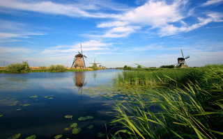 Windmills lake greenfield waterlilies sky - a lush green field free wallpaper