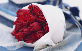 Red roses white ribbon blue - a blue cloth free wallpaper for desktop