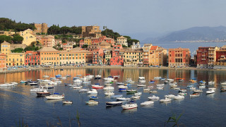 Harbor boats city hills trees - carlo carlone free wallpaper