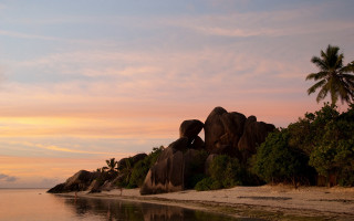 Elephants beach sunset palm trees - top of a beach next free wallpaper for desktop