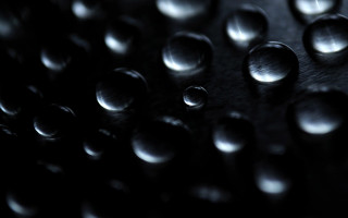 Black water droplets moon night - a close up of a bunch free wallpaper