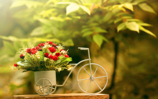 Flower pot bike garden bokeh - a flower pot free wallpaper