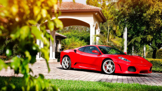 Red sports car palm tree - a palm tree in the background free wallpaper