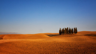 Desert trees blue sky clouds - a desert landscape free wallpaper