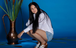 Elina karimova flower vase blue - a plant in the background free wallpaper