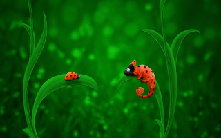 Ladybug green background flowers forest - far free wallpaper