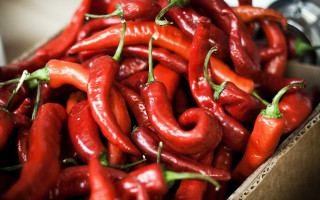Hot peppers box faucet stilllife - hot free wallpaper