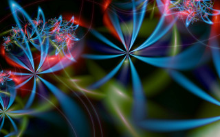 Flower butterfly fractals generative art - a red center in the middle free wallpaper