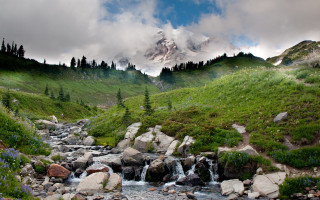 Lush green hillside river mountain - rock and grass free wallpaper for desktop