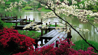 Wooden dock flower trees lake 2 - a wooden dock free wallpaper