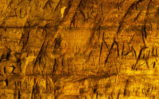 Rock face cracks trees autumn - bruce nauman free wallpaper