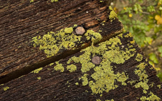 Wooden bench moss forest autumn - a wooden bench free wallpaper