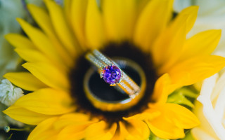 Yellow flower ring sunflower macro - a diamond ring free wallpaper