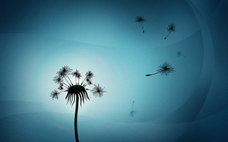 Dandelion wind blue sky person - a dandelion free wallpaper for desktop