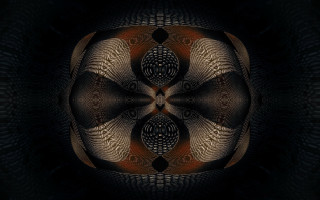 Flower darkroom blackbackground redcenter androidjones - image of a flower free wallpaper