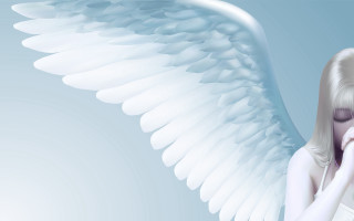 Angelic white wings blue background - a white angel free wallpaper for desktop