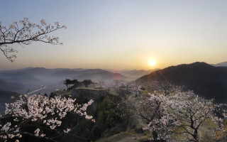 Sunset mountain blooming tree valley - the valley below free wallpaper