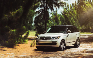 White range rover wooded outdoors - the background and sun free wallpaper