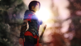 Renaissance woman red black sword - her hand and a tree in the background free wallpaper