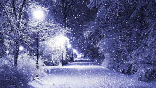 Snowy path street lights trees - both side of it free wallpaper