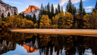 Mountain lake reflection autumn forest - a few yellow leaf free wallpaper