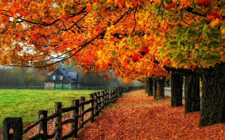 Fence wooden post tree autumn - a house in the background free wallpaper