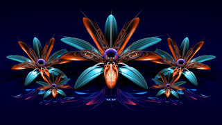 Blue butterfly insect wings digital - image of a flower free wallpaper for desktop
