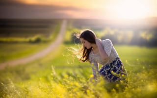 Woman field cellphone autumn blurry - claire hummel free wallpaper