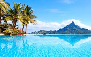 Large pool mountain palm trees - free holidays wallpaper