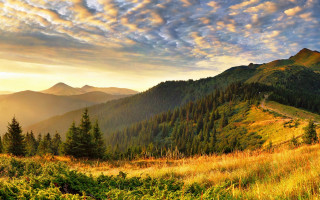 Mountain road forest sunset landscape - a scenic view of a mountain free wallpaper