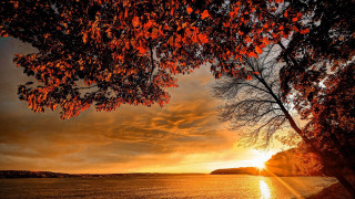 Sunset lake tree autumn magic - a sunset over a lake free wallpaper