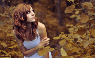 Forest gothic autumn woman bare - autumn free wallpaper for desktop