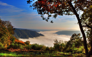Valley foggy forested autumn mountains - a foggy valley below free wallpaper