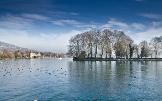 Lake birds trees sky mountains - florence engelbach free wallpaper for desktop