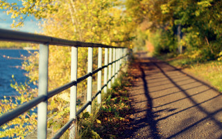Autumn road fence water tilt - ada hill walker free wallpaper for desktop