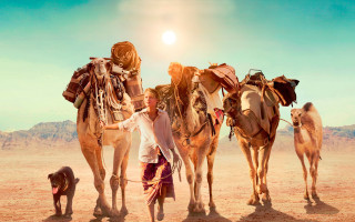 Desert woman dog camels horse - cliff childs free wallpaper
