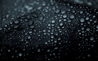 Black water droplets macro photography - water droplet free wallpaper