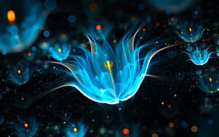 Blue flower glowing petals space - a blue flower free wallpaper