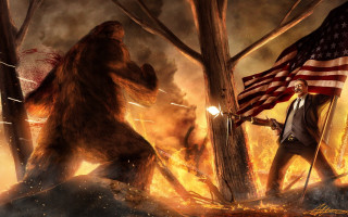 Man flag bear forest fire - christopher moeller free wallpaper