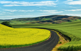 Road winding green field hill - a hill in the background free wallpaper